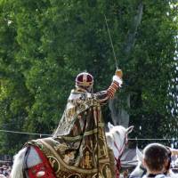 Korunovačné slávnosti 2008